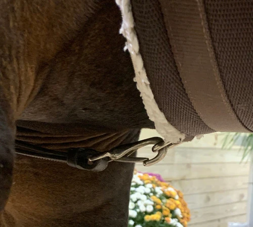 DziaSport Easy-Off Standing Martingale 4 DziaSport Easy-Off Standing Martingale - Image 2