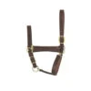 Perri's Economy Leather Halter 1 Perri's Economy Leather Halter -Equestrian Supply Store economy leather halter horse havana perris 49002.1587672811