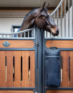 LeMieux Elite Pro Bridle Bag -Equestrian Supply Store elite pro bridle bag stall lemieux 67563.1689195549