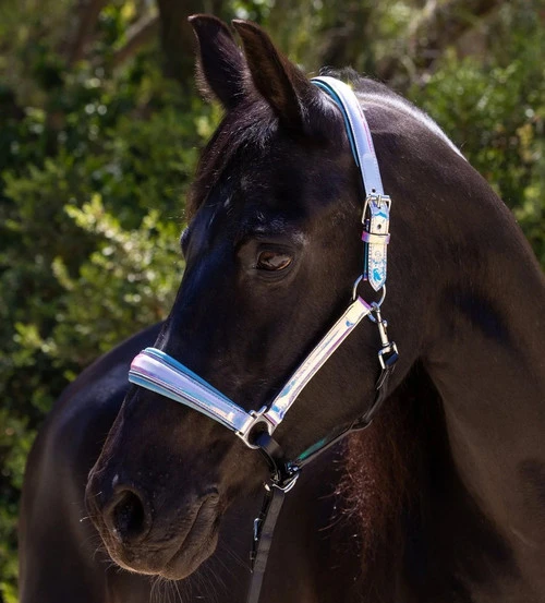 Halter Ego Elsa Halter 3 Halter Ego Elsa Halter