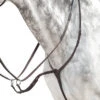 Prestige EVO Running Martingale -Equestrian Supply Store evo running martingale brown side D37 prestige 14194.1660605911