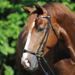 Kavalkade Fiala Drop Noseband Bridle -Equestrian Supply Store fiala drop noseband bridle black horse 19043 kavalkade 70982.1607126906
