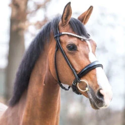 Kavalkade Florina Rolled Snaffle Bridle -Equestrian Supply Store florina snaffle bridle black horse 19047 07 kavalkade 47178.1680908667