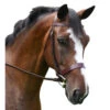 KL Italia Foxwell Hunt Bridle -Equestrian Supply Store foxwell hunt bridle kl select 68881.1643851982