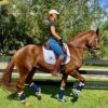 DSB Glossy Patent Dressage Sport Boot 2 DSB Glossy Patent Dressage Sport Boot -Equestrian Supply Store glossy navy boots lifestyle dsb 56448.1592335795