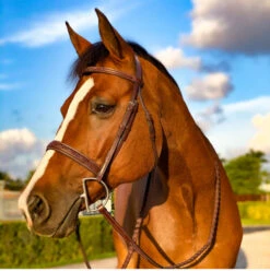 Beval Heritage Wide Fancy Stitch Bridle -Equestrian Supply Store heritage wide caveson bridle horse beval 87719.1675118523