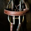 Beval Heritage Wide Fancy Stitch Bridle -Equestrian Supply Store heritage wide cavesson bridle noseband beval 09751.1675118334