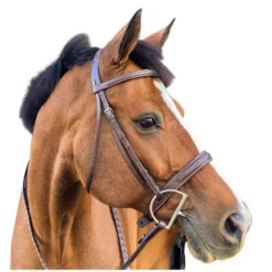 Beval Heritage Wide Fancy Stitch Bridle -Equestrian Supply Store heritage wide cavesson bridle right w beval 11569.1675120718