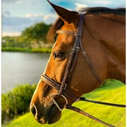 Beval Heritage Wide Fancy Stitch Bridle -Equestrian Supply Store heritage wide fancy laced anut side 1066100 beval saddlery 95595.1675118359