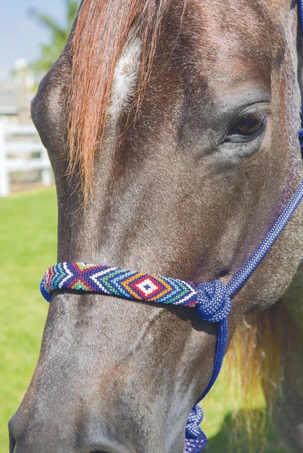 Professional's Choice Beaded Rope Halter & 10 Ft Lead 3 Professional's Choice Beaded Rope Halter & 10 Ft Lead
