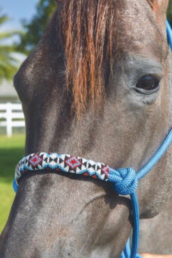 Professional's Choice Beaded Rope Halter & 10 Ft Lead 9 Professional's Choice Beaded Rope Halter & 10 Ft Lead -Equestrian Supply Store hrb tur 92687 77725.1527298962