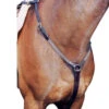 Nunn Finer Elastic Hunt Breastplate -Equestrian Supply Store hunt breastplate elastic 83 nunn finer 65441.1643842987