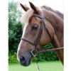 Dy'on Raised Fancy Stitch Hunter Bridle -Equestrian Supply Store hunter bridle dyon 50775.1567117481