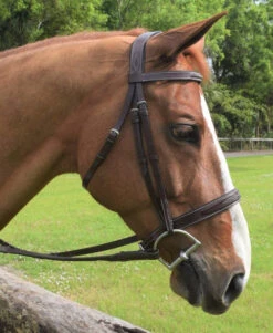 Red Barn Indio Hunter Bridle -Equestrian Supply Store indio bridle chestnut horse 512402 red barn 01685.1684372478