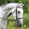 Red Barn Indio Hunter Bridle -Equestrian Supply Store indio bridle grey horse side 512402 red barn 69712.1684372443