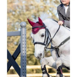 LeMieux Junior Pro Fly Bonnet 9 LeMieux Junior Pro Fly Bonnet -Equestrian Supply Store junior pro fly bonnet burgundy lifestyle 5834 lemieux 46182.1670603318