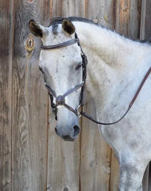 Black Oak Cedar Figure 8 Bridle 4 Black Oak Cedar Figure 8 Bridle - Image 2