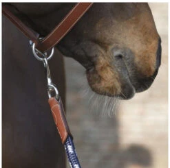 Antarès Lead Rope -Equestrian Supply Store lead rope navy brown clip LIC2 antares 27398.1643754806