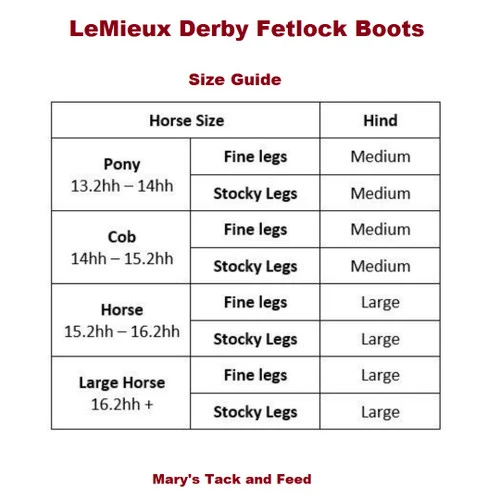 LeMieux Derby Fetlock Boots 7 LeMieux Derby Fetlock Boots - Image 5