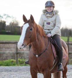 In Horse We Trust Liberty Neck Strap -Equestrian Supply Store liberty neck strap havana on horse NECK STRAP in horse we trust 83032.1658788014