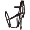 Tucker Halter Bridle Lite -Equestrian Supply Store lite halter bridle black chrome 0109 0102 tucker 64799.1671830939