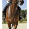 In Horse We Trust C-Cure Running Martingale 2 In Horse We Trust C-Cure Running Martingale -Equestrian Supply Store martingale c cure havana horse ihwt 51816.1564448670