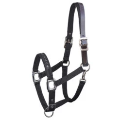 Schockemohle Memphis Fleece Lined Halter -Equestrian Supply Store memphis breakaway black 1311 00020 schockemoehle 55437.1650664913