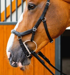 Horseware Ireland Horseware Micklem 2 Deluxe Competition Bridle -Equestrian Supply Store micklem2 dlx competition black cheekpieceSBMUM2 K000 SC horseware ireland 23067.1689873947