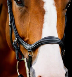 Horseware Ireland Horseware Micklem 2 Deluxe Competition Bridle -Equestrian Supply Store micklem2 dlx competition black noseband SBMUM2 K000 SC horseware ireland 23455.1689873907