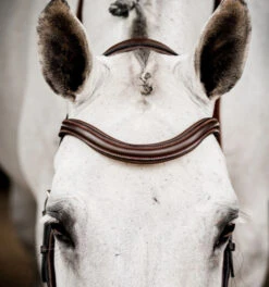 Horseware Ireland Horseware Micklem 2 Deluxe Competition Bridle -Equestrian Supply Store micklem2 dlx competition havana browband SBMUM2 NAB0 SC horseware ireland 79266.1689874481