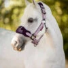 Mini LeMieux Vogue Halter & Lead Rope -Equestrian Supply Store mini vogue headcollar fig pony lemieux 06965.1689972067