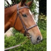 Nunn Finer Newmarket Shank Lead -Equestrian Supply Store newmarket shank havana bay horse nunn finer 70404.1587245498