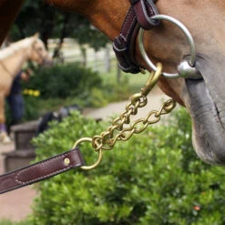 Nunn Finer Newmarket Shank Lead -Equestrian Supply Store newmarket shank havana brass detail nunn finer 43439.1587245493