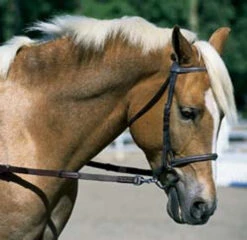 Nunn Finer Elastic Side Reins - Pony -Equestrian Supply Store nunn finer elastic side reins pony 2 83217 55621.1587241540