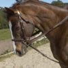 Ovation Stretch Cord Draw Reins -Equestrian Supply Store ovation stretch cord draw reins 2 73056 95347.1527291793