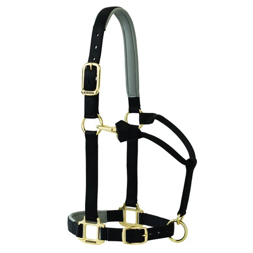 Weaver Leather Weaver Padded Adjustable Halter 4 Weaver Leather Weaver Padded Adjustable Halter - Image 2