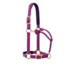 Weaver Leather Weaver Padded Adjustable Halter 1 Weaver Leather Weaver Padded Adjustable Halter -Equestrian Supply Store padded adjustable halter dahlia purple 35 778 weaver 46897.1606080010