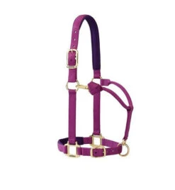 Weaver Leather Weaver Padded Adjustable Halter