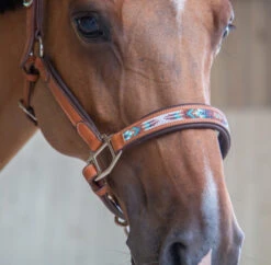 PÉNÉLOPE Pénélope Pearl Leather Halter -Equestrian Supply Store pearl halter cognac noseband1 510 311 302 penelope 65794.1688687941