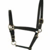 Perri's 3/4-Inch Leather Turnout Halter -Equestrian Supply Store perri s 3 4 inch leather turnout halter 1 92560 01541.1527297524