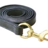 Perri's Leather Lead With Brass Snap -Equestrian Supply Store perri s leather lead with brass snap 1 63908 05115.1527293486