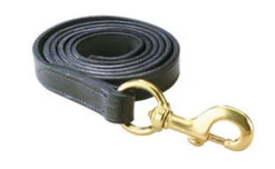 Perri's Leather Lead With Brass Snap