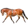 Pessoa Lunging System -Equestrian Supply Store pessoa lunging system pony 460300 pessoa 98814.1641427912