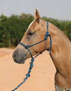 Professional's Choice Rope Halter With 10 Foot Lead -Equestrian Supply Store professional s choice rope halter with 10ft lead 1 67619 07307.1537223883