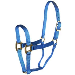 Hamilton Quality 1" Nylon Halter -Equestrian Supply Store quality 1in nylon halter berry blue 1Q BY hamilton 67147.1685665703