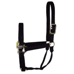 Hamilton Quality 1" Nylon Halter -Equestrian Supply Store quality 1in nylon halter black 1Q hamilton 13858.1685665721