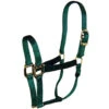 Hamilton Quality 1" Nylon Halter -Equestrian Supply Store quality 1in nylon halter hunter green 1Q DKGR hamilton 97787.1685665697