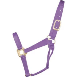 Hamilton Quality 1" Nylon Halter -Equestrian Supply Store quality 1in nylon halter lavender 1Q AVLV hamilton 15621.1685665710