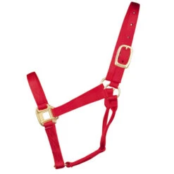 Hamilton Quality 1" Nylon Halter -Equestrian Supply Store quality 1in nylon halter red 1Q hamilton 12014.1685665705