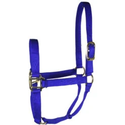 Hamilton Quality 1" Nylon Halter -Equestrian Supply Store quality 1in nylon halter royal 1Q hamilton 95898.1685665741